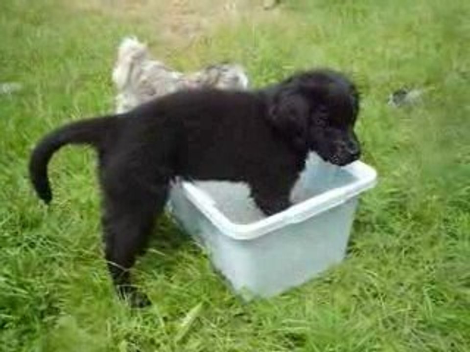 engy joue a l'eau pour la 1er fois !