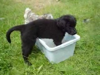 engy joue a l'eau pour la 1er fois !