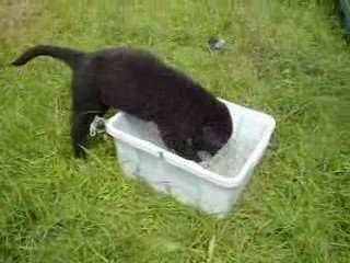 suite engy et la decouverte de l'eau