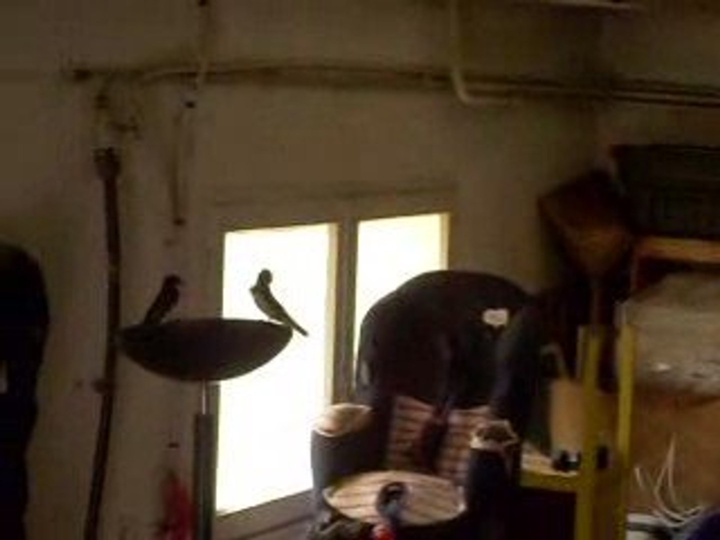 ⁣dans mon garage