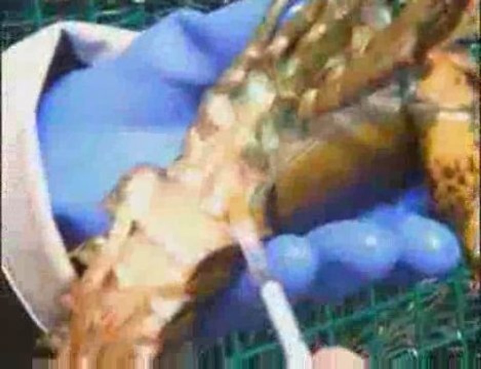 “Great Taste” to feature Clearwater Seafoods