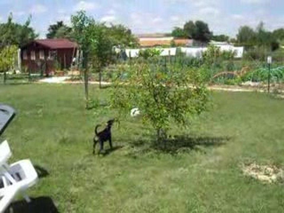 IMGP0006