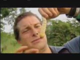 Man vs. Wild - Eating Giant Larva