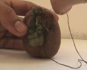 Excision 228 filles à l'heure