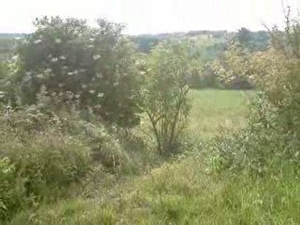 Mes premier saut Kx 250