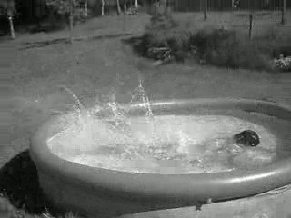 le bain au réveille de noé.. xD