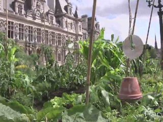 Le plus bio jardin de Paris, parvis de l'hôtel de ville !