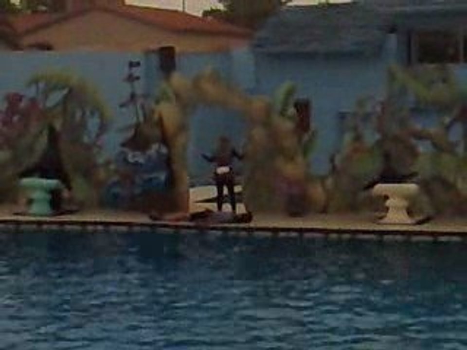 marineland spectacle des otaries