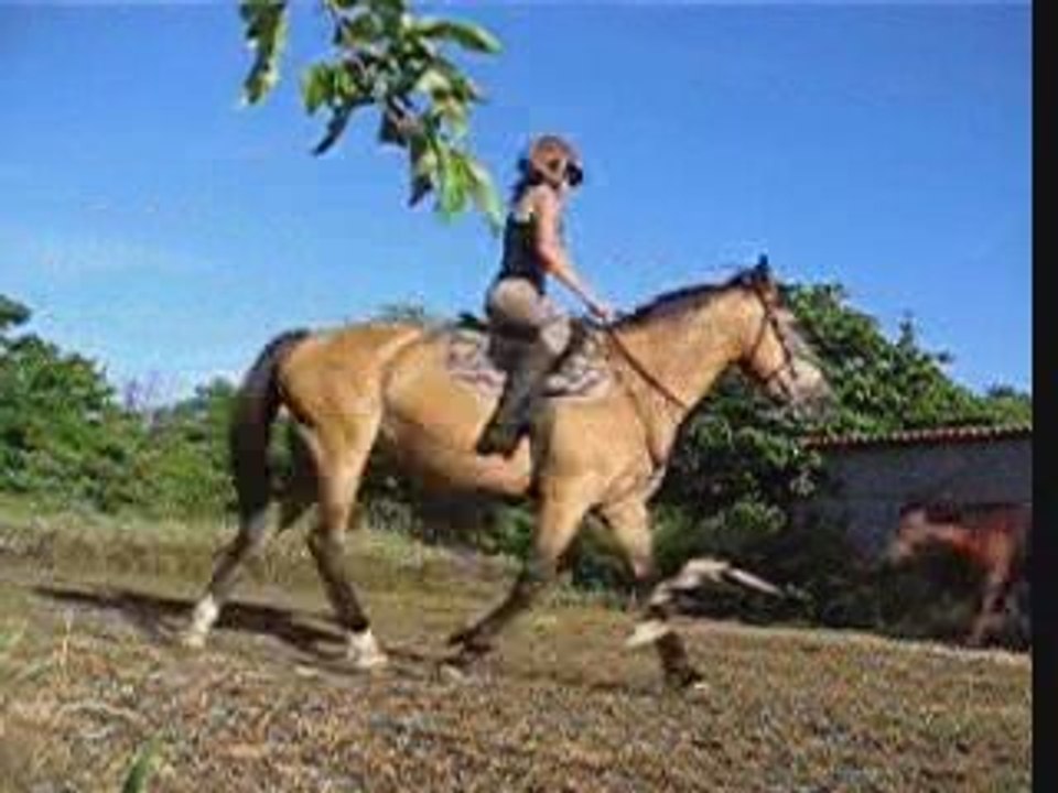 Douune pas-trot