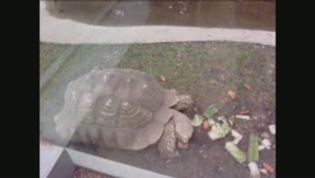 parc de la tete d'Or Lyon