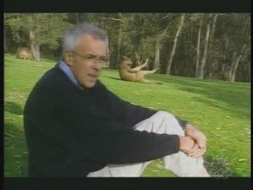 Bored Kangaroo
