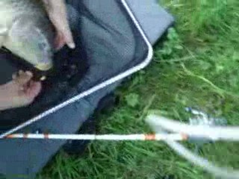 carpe 6.5kg