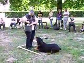 stage ob avec carmen benett vsa les 9/10/11 juin 2009
