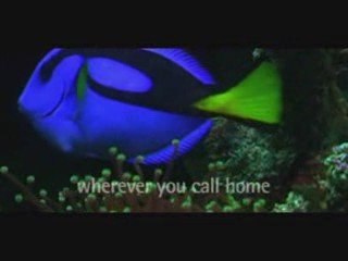 Aquario Marinho da Tetra