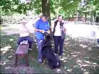 stage ob avec carmen benett vsa les 9/10/11 juin 2009