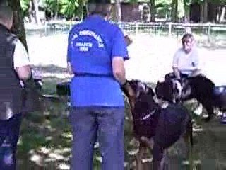 stage ob avec carmen benett vsa les 9/10/11 juin 2009