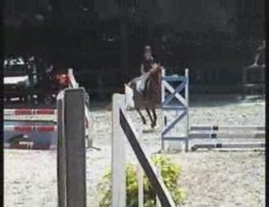 saut d'obstacle du 31 mai 2009