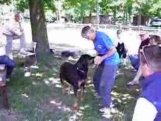 stage ob avec carmen benett vsa les 9/10/11 juin 2009