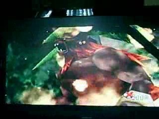 Final Fantasy VIII- Granaldo