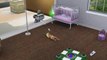 Sims qui dort