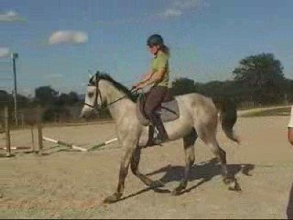 Ramses Bleu 11 juin