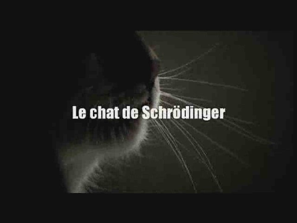 Mr Bil - Marekage Streetz " le chat de Schrödinger "