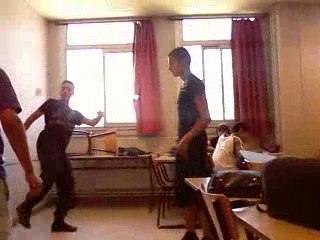 La joca bonito avec une boule de papier