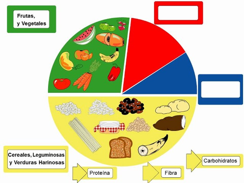 Circulo de Alimentos
