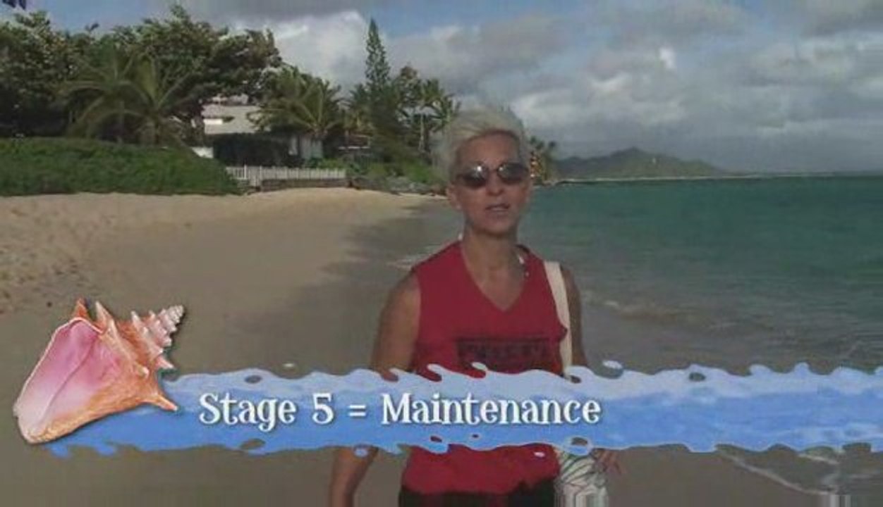 Beach Walk 715 - Life is not so linear pt 2