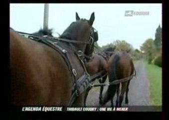 Thibault Coudry: "Une vie à mener"