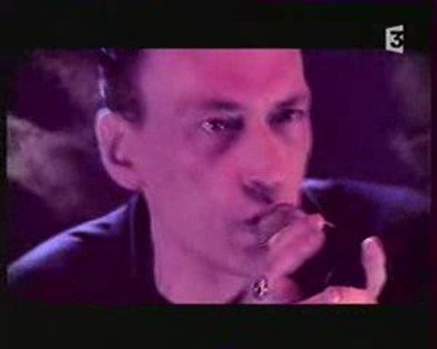 Daniel Darc - J'irai au paradis