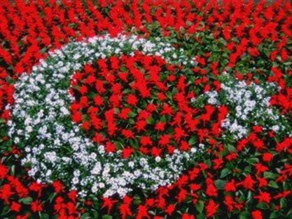 Ya Sev Ya Terket (Hamit Baydaroğlu)