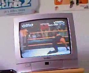 the hardy vs the brother vs of destruction  svr09