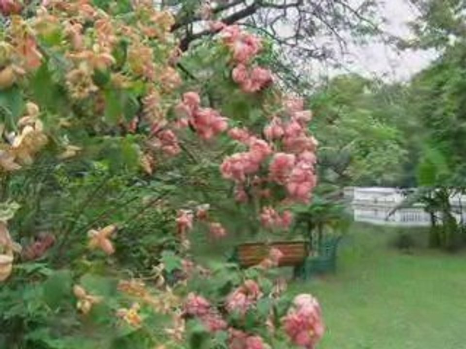 Jardin horticole