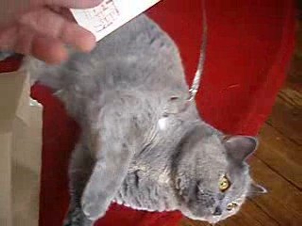 Bub-maru6
