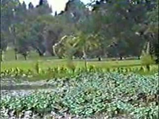 Perak Golf Club - New Club Taiping - Part 2 of 3