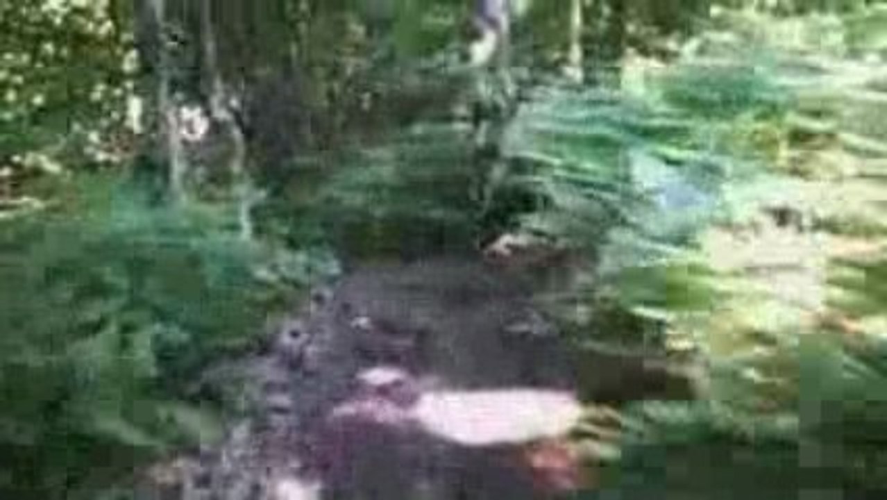 La Magny Futée '09 - part #1