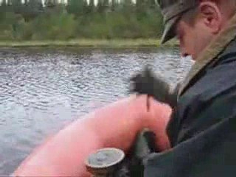 Vestiges Militaria Vrac6 ( fouille 39-45 )