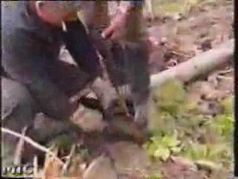 Vestiges Militaria Vrac3 ( fouille 39/45 )