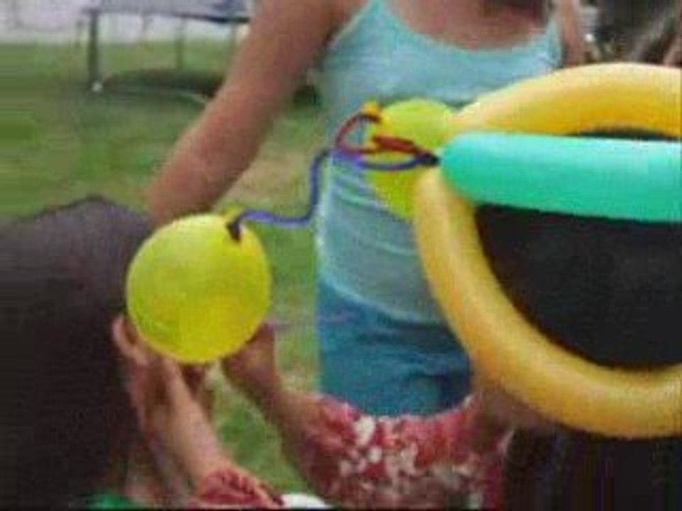 $99/HR. KIITSILANO VANCOUVER BIRD BALLOON LADY THEME PARTY