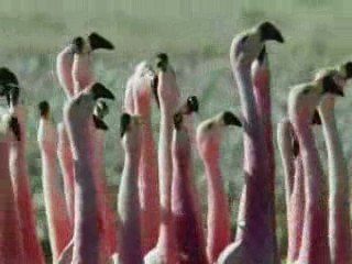 Our Home Planet Earth