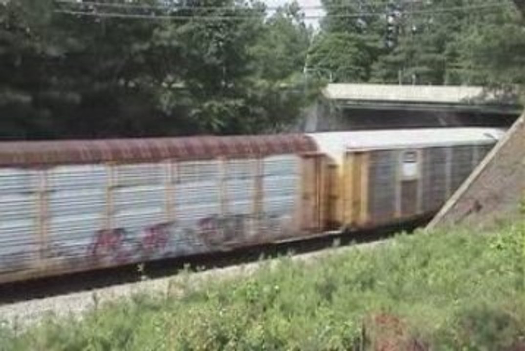NS V17