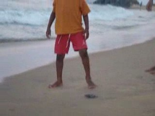 Émergences TURTLE