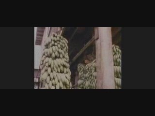 JFK Caso abierto (clip de La película)