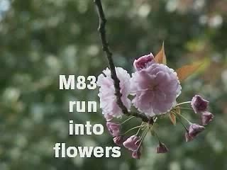 M83 Run Into Flowers abstrackt keal agram remix
