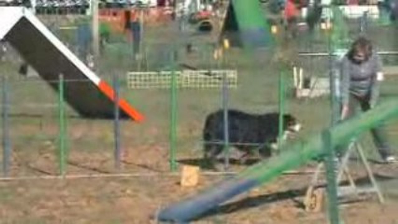 Clip martine urhus roquefure 26 10 2008