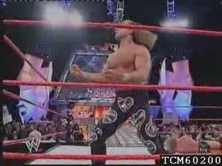 HBK VS HHH.World Title.2003 2/2 VF