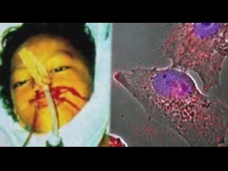 NWO Race Extermination