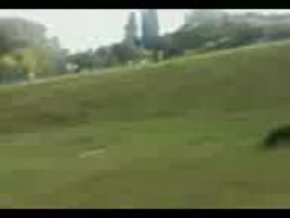 lol plus drole que ca tu dead ^^