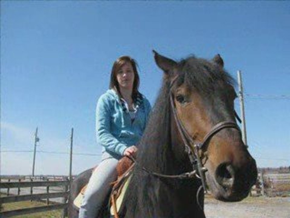 Une belle journée a l'écurie, a retenir !!